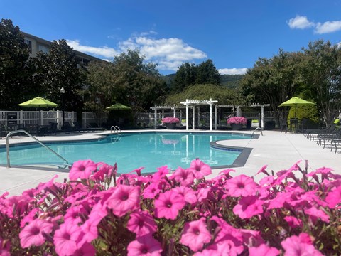A pool surrounded by pink flowers and green umbrellas.