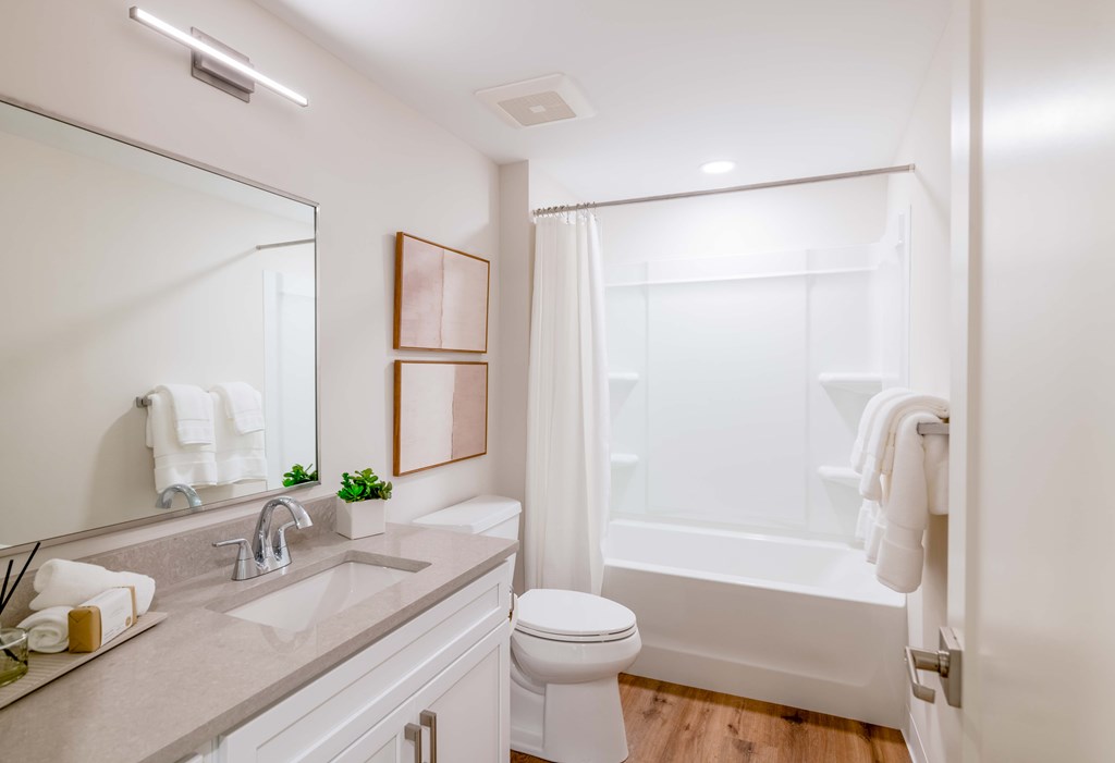 a bathroom with a sink and a toilet and a shower