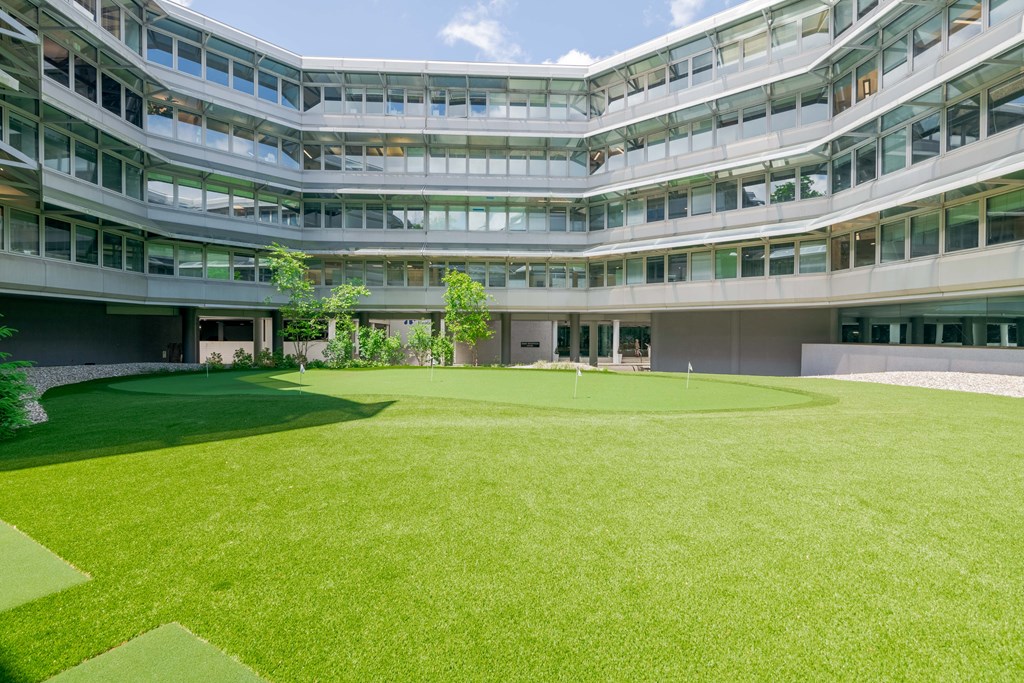lawn in front of the building