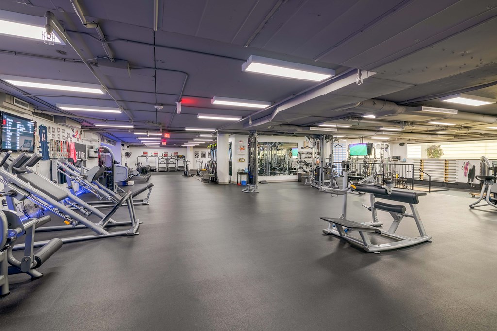 a gym with cardio equipment and weights on the floor