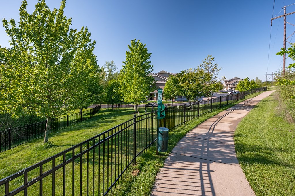 Outdoor pet park with fence