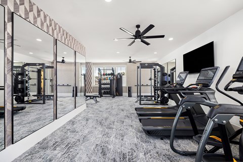 A gym with treadmills and a fan.