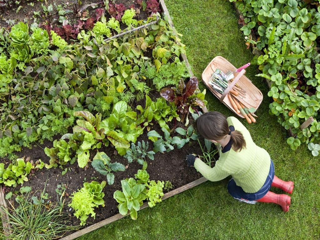 a woman working in a garden with a wheelbarrow