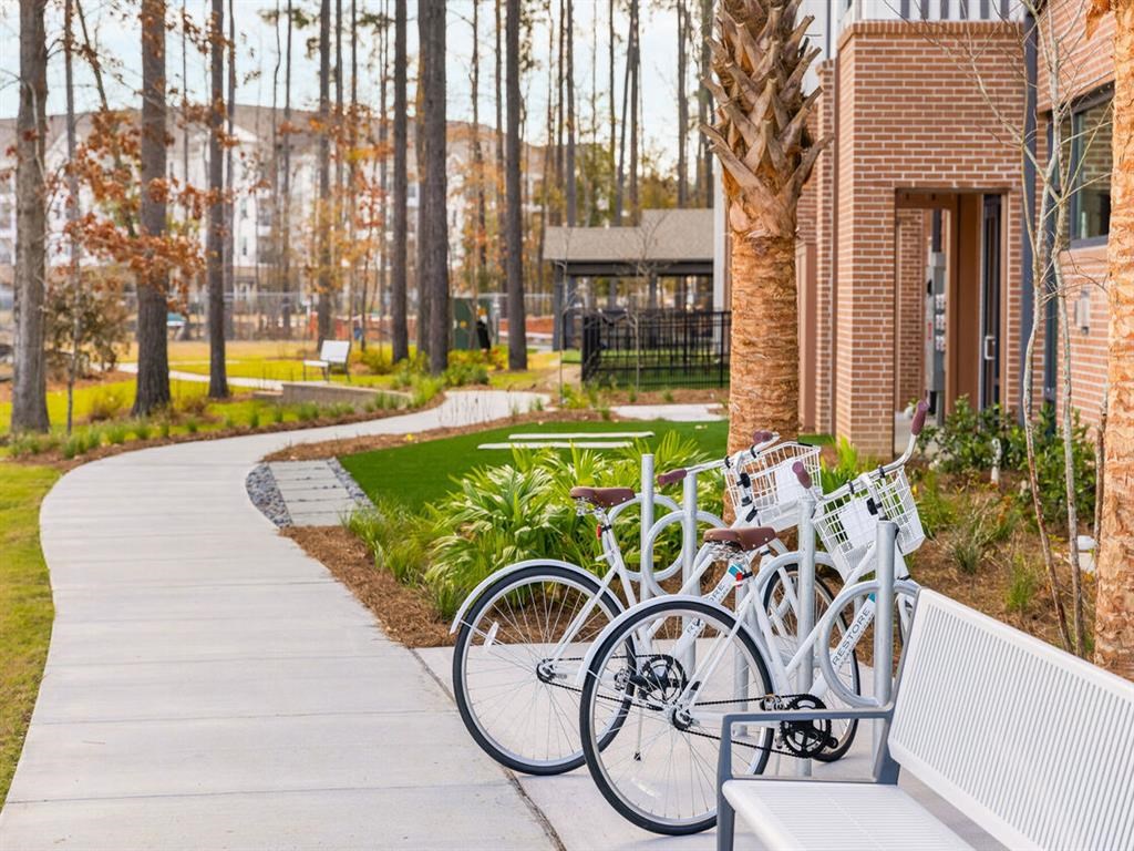 a row of bikes parked next to a sidewalk