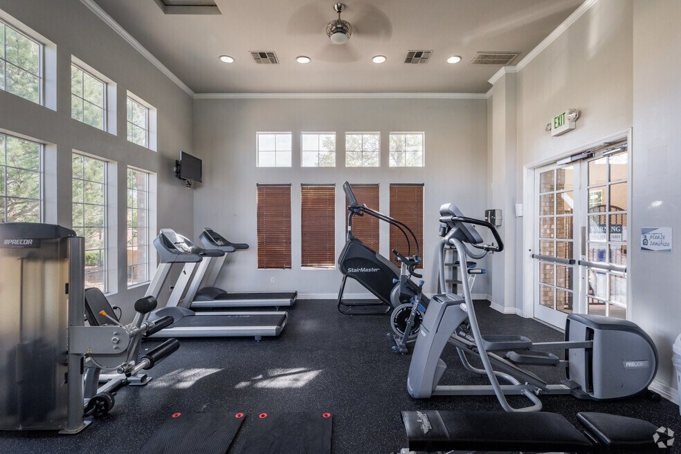 the gym is equipped with cardio equipment and weights