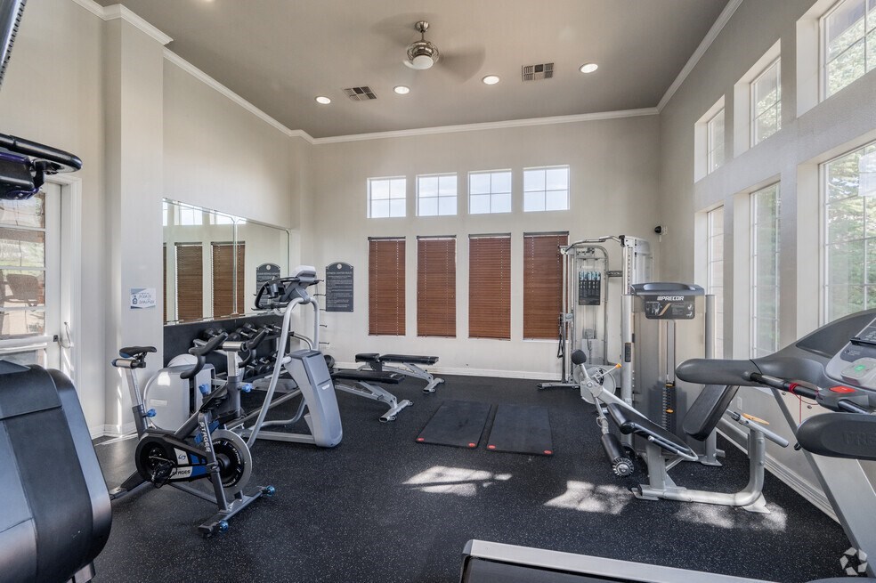 the gym is equipped with cardio equipment and weights