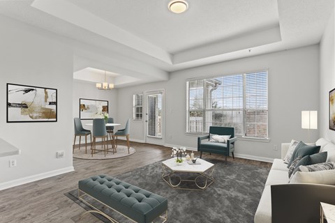 A living room with a grey rug and a white couch.