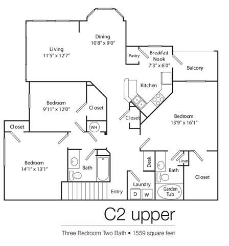 C2