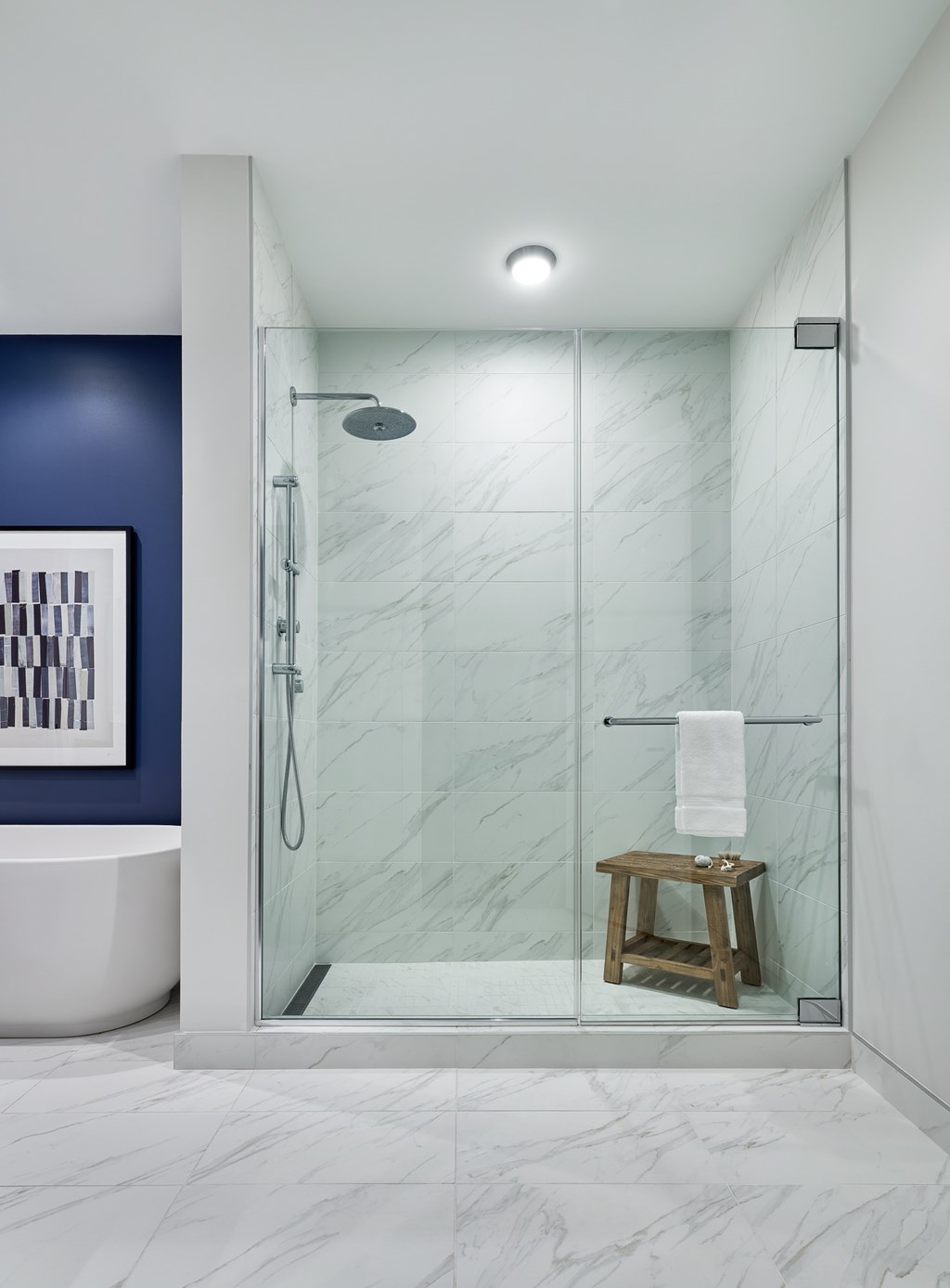 The Penthouse Collection Master Bath Shower