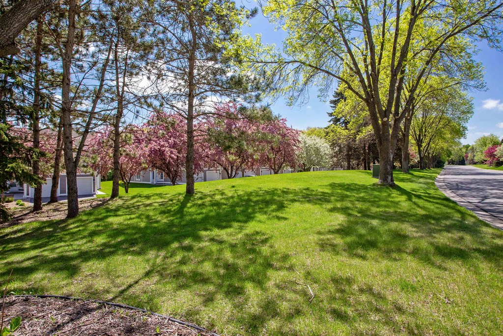 Outdoor view of landscaping and abundant trees