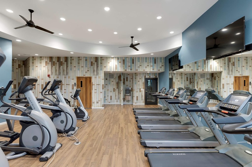 a gym with a row of treadmills