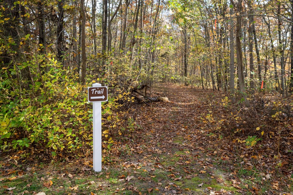 a trail sign on the side of a trail in the woods