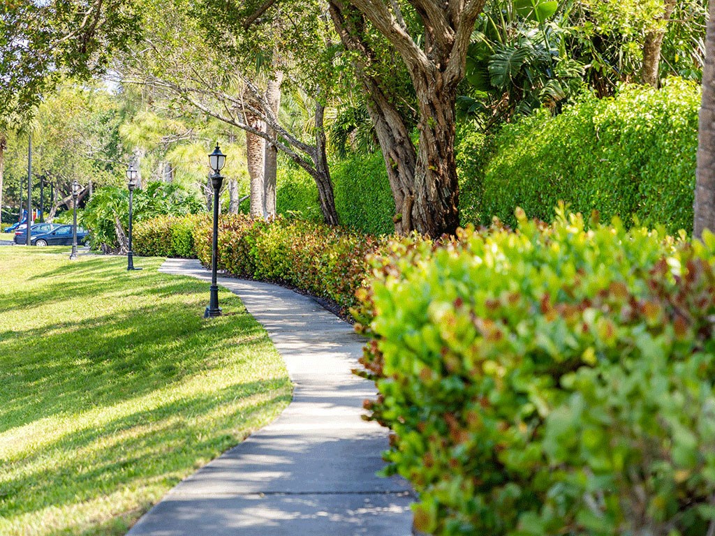 a sidewalk in a park with trees and bushes