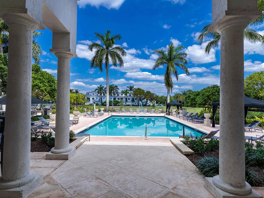 a swimming pool with palm trees and chairs around it