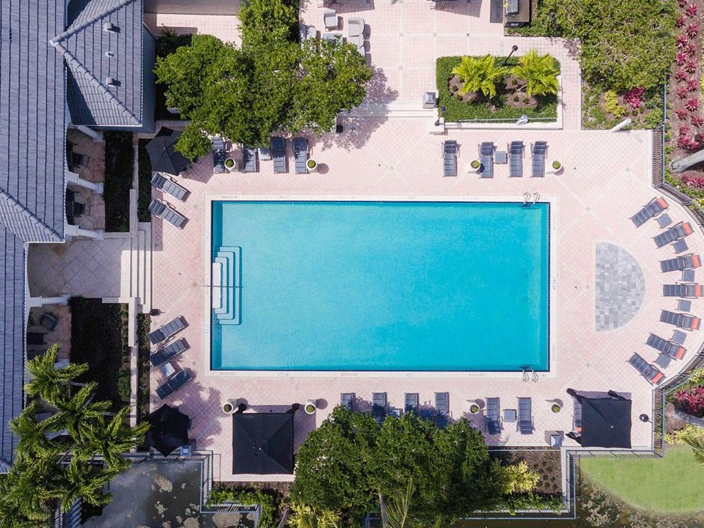 an aerial view of a swimming pool with trees and umbrellas