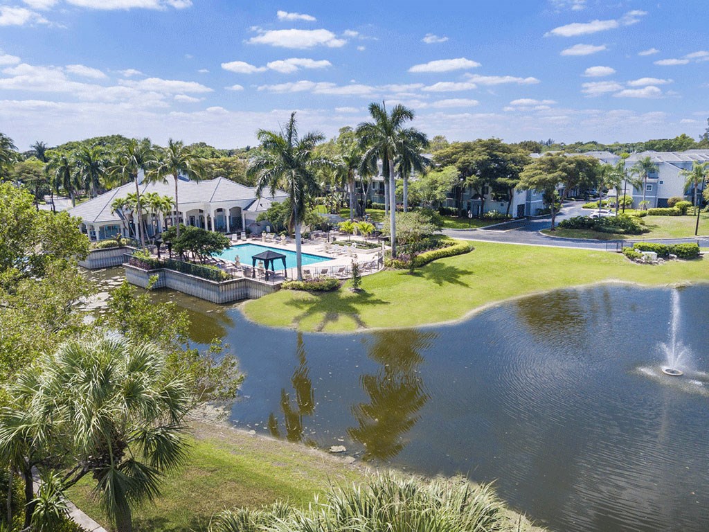 a view of a pool and a pond with palm trees