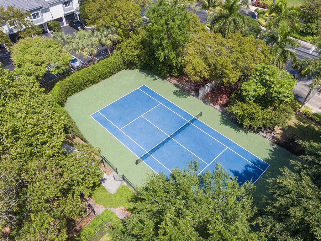 a tennis court in the middle of a yard with trees