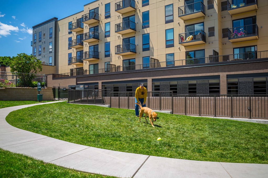 a man playing with a dog in a yard in front of an apartment building