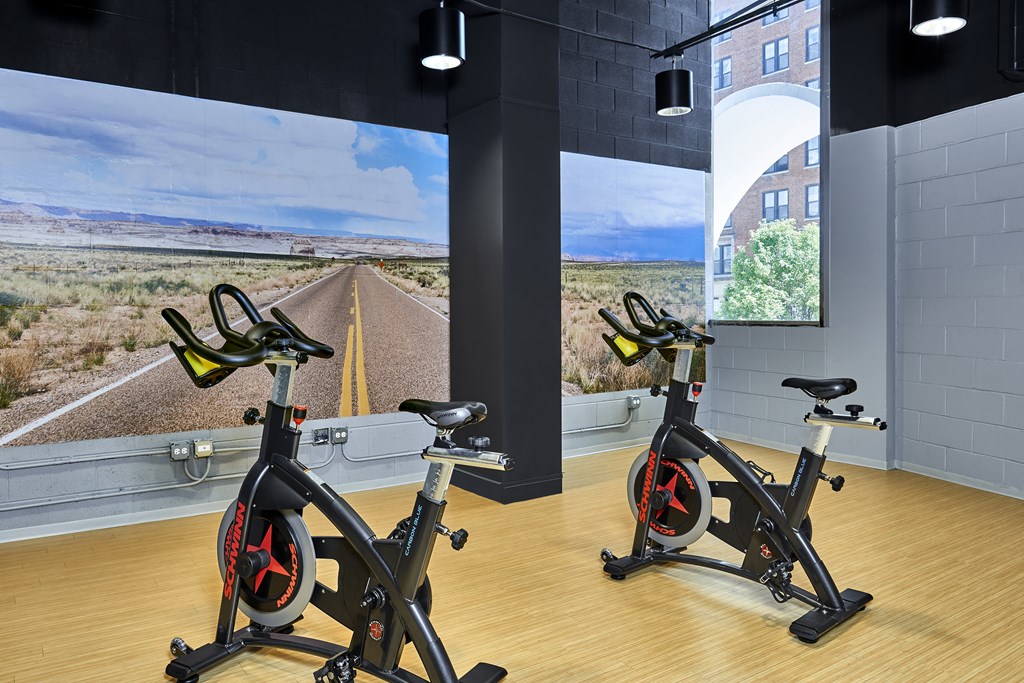 Cycle studio