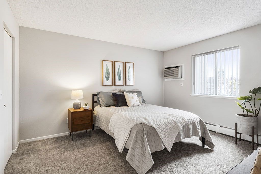 a bedroom with a bed and a window