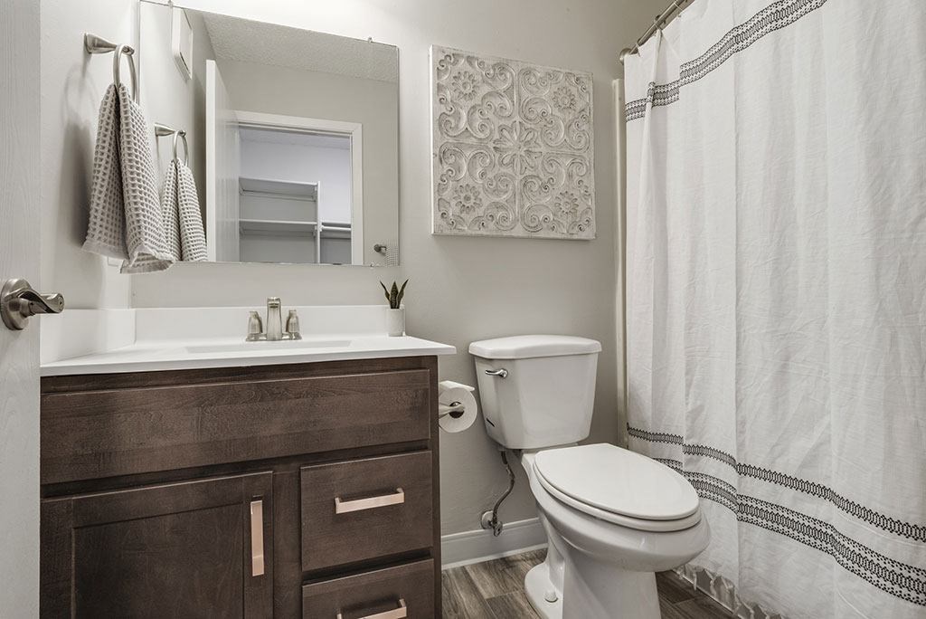 a bathroom with a toilet and a sink