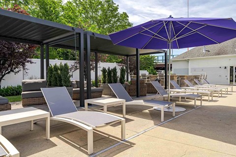 A large purple umbrella shades a row of lounge chairs.