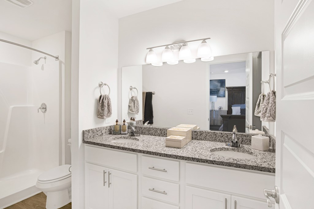 a bathroom with a sink and a mirror and a shower