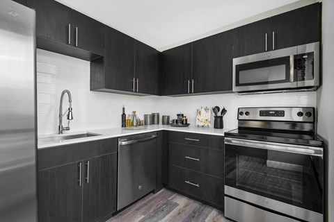 A modern kitchen with black cabinets and stainless steel appliances.