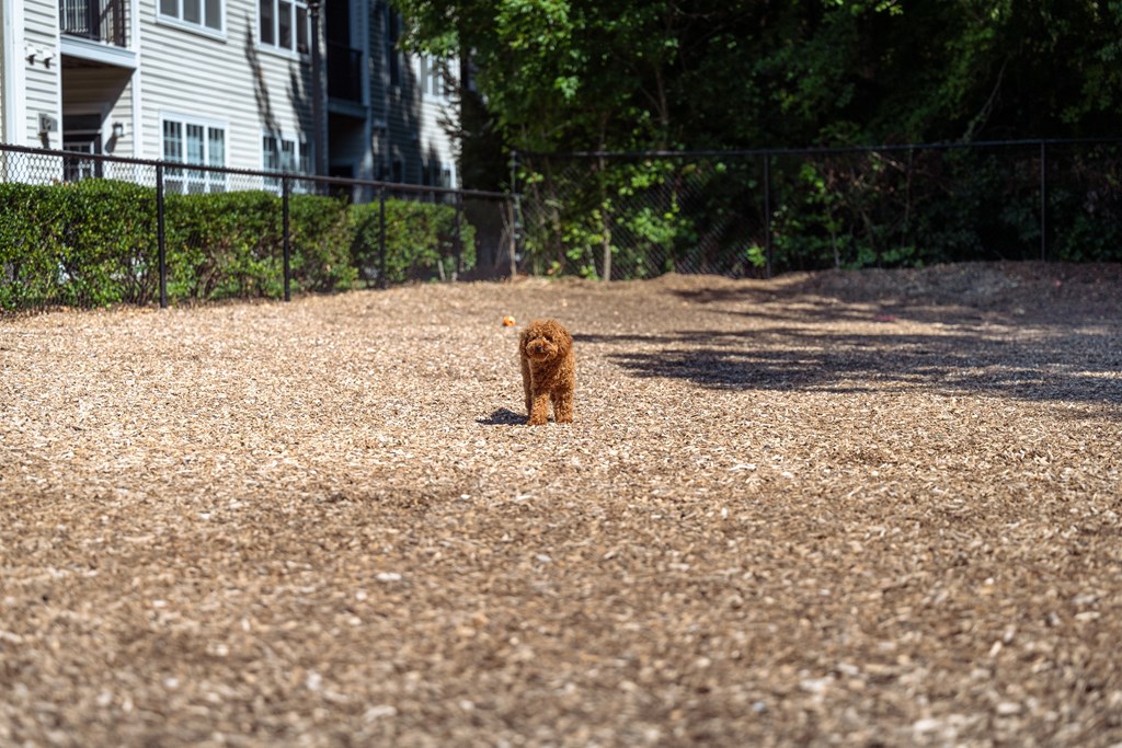 Dog Park. The Cascades at Tinton Falls, Tinton Falls NJ 07753