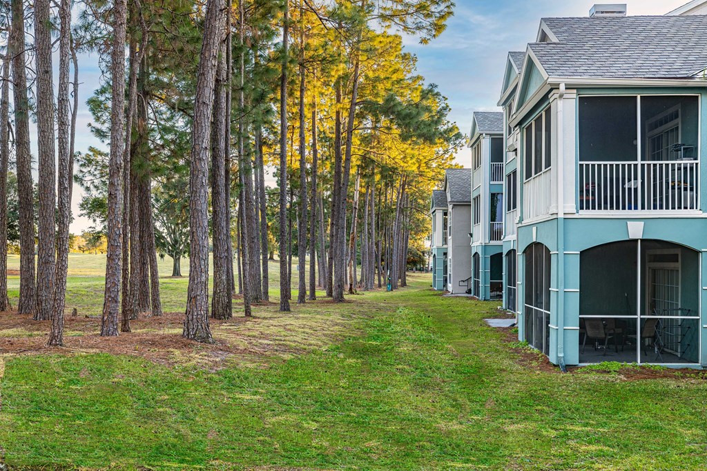 a house in the woods with a path next to it