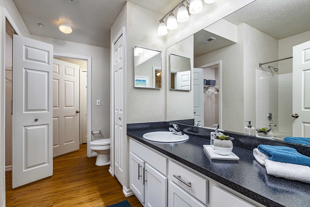 a bathroom with a sink and a toilet and a mirror