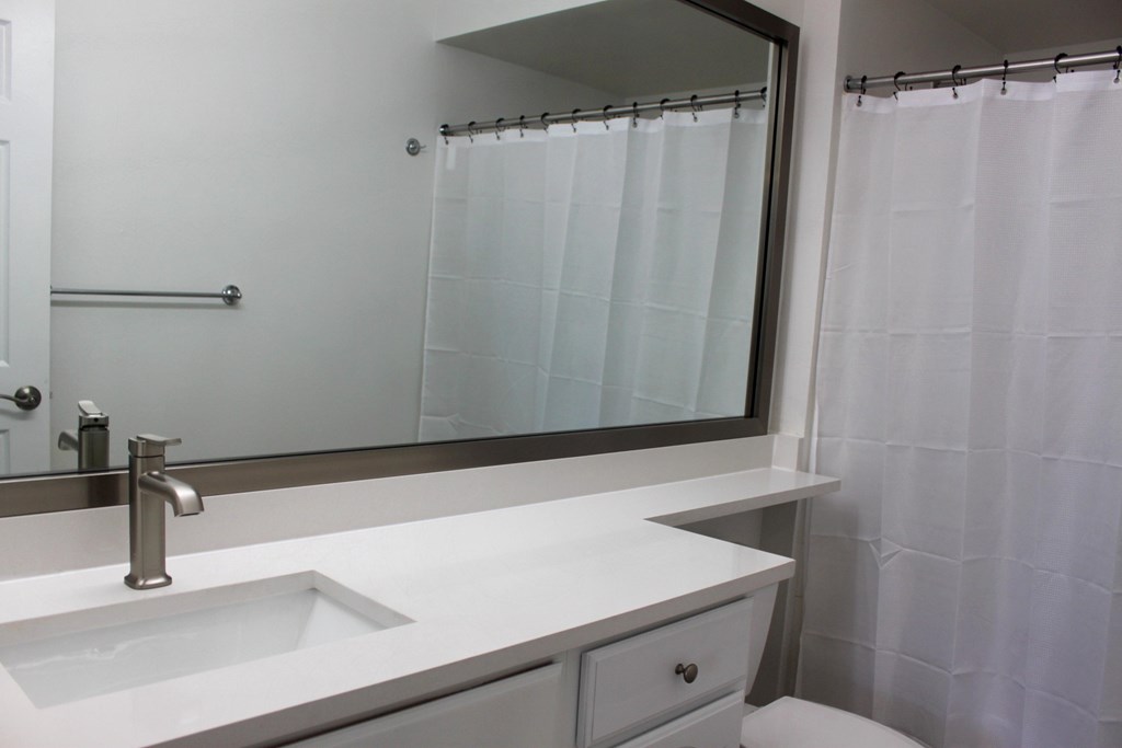 a bathroom with a mirror and a sink and a shower
