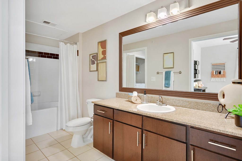 a bathroom with a sink and a toilet and a mirror