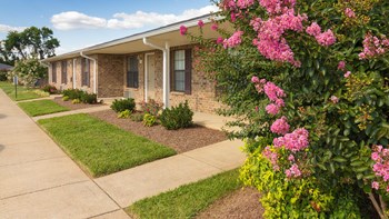 Apartments in Murfreesboro TN - Exterior View of the Apartment Building Showcasing Beautiful Community and Landscaping - Photo Gallery 3