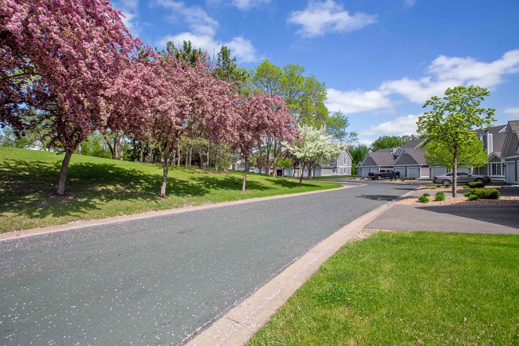 Woodbury Townhomes For Rent - Views Of Landscaping Outside Townhomes. Lush Green Grass, Shrubs, And Different Types Of Trees Near A Road.