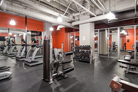 A gym with a variety of equipment including treadmills, weight racks, and benches.
