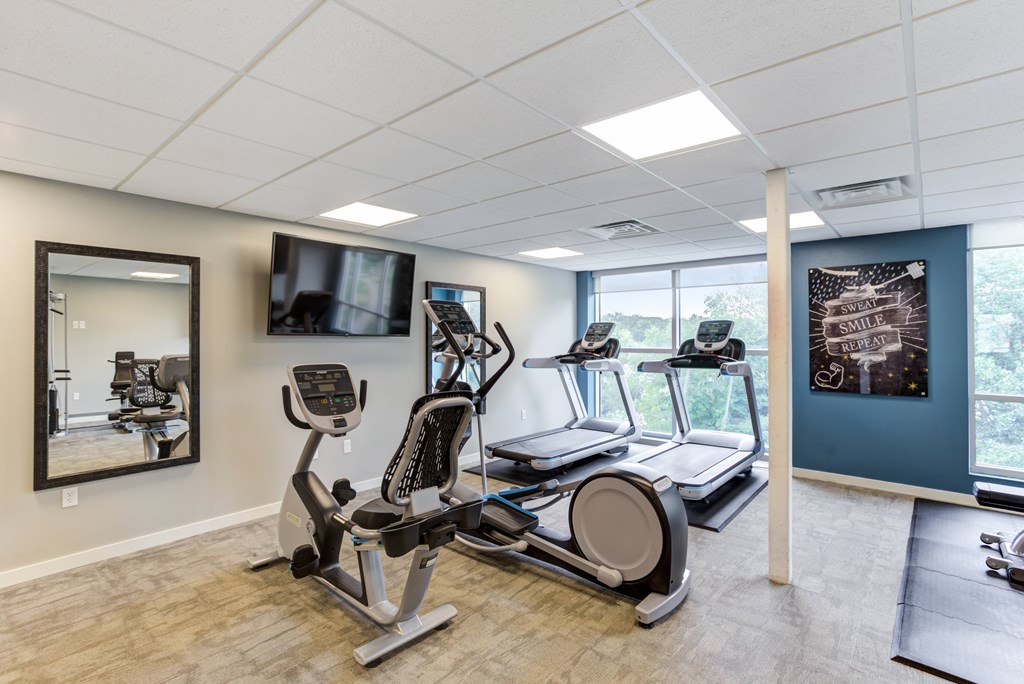 Pet-Friendly Apartments in Lakeville, MN - Lakside Flats - Gym with Machines, Mat, TV, Large Windows, and Mirror