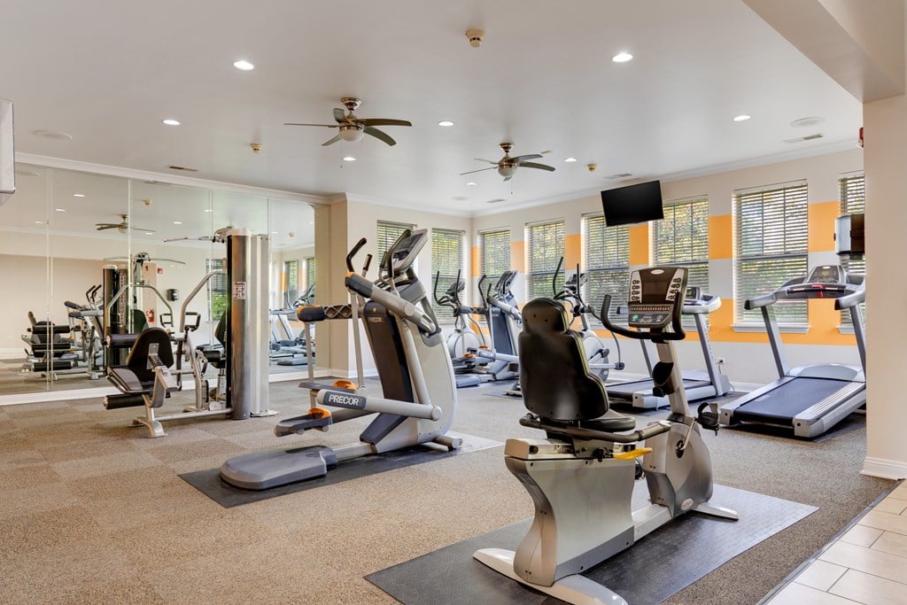 Bolingbrook IL Apartments - The Meadows at River Run - Fitness Center with Equipment, Windows, Mirrors, TV, and Ceiling Fan