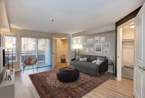 A living room with a grey couch and a red rug.