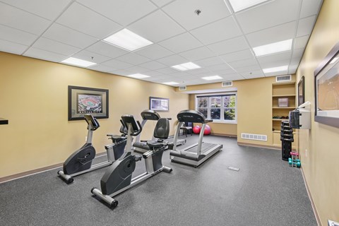 Blue Springs, MO, Senior Apartments with In-Unit Washer and Dryer - The Gardens at Jackson Creek - Fitness Center With Treadmills, Stationary Bikes, Free Weights, Exercise Balls, And Large Window.
