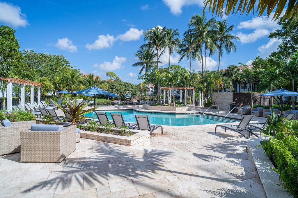 Pool surrounded by lounge chairs and palm trees