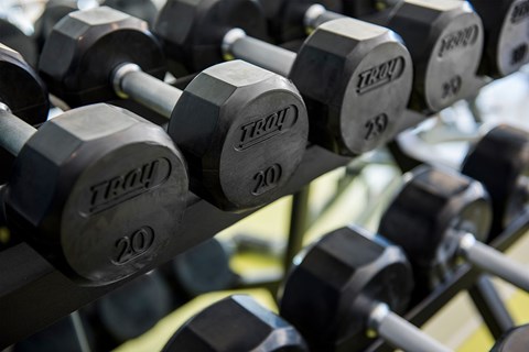 Linq At North Springs