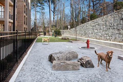 Linq At North Springs