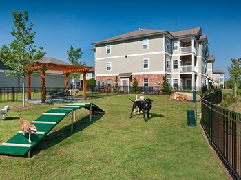 Pet Walk Area - Photo Gallery 3