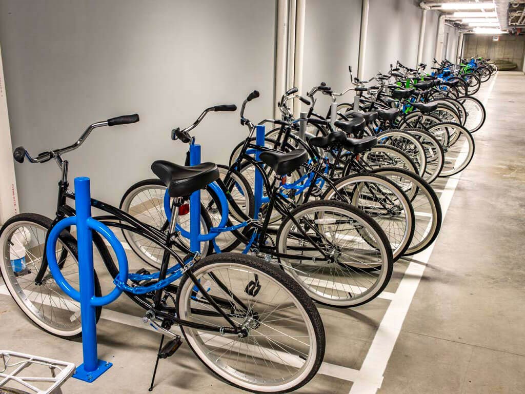 Bike storage with bikes