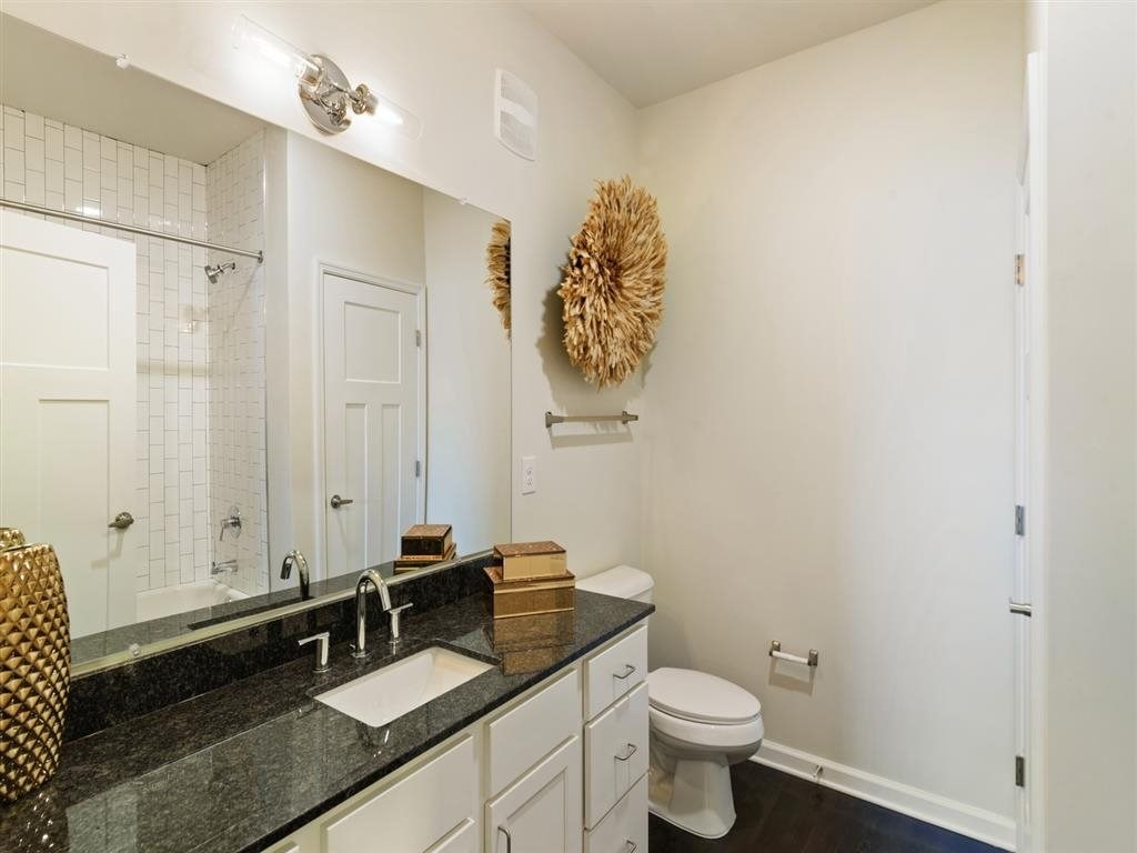 a bathroom with a sink and a toilet and a mirror