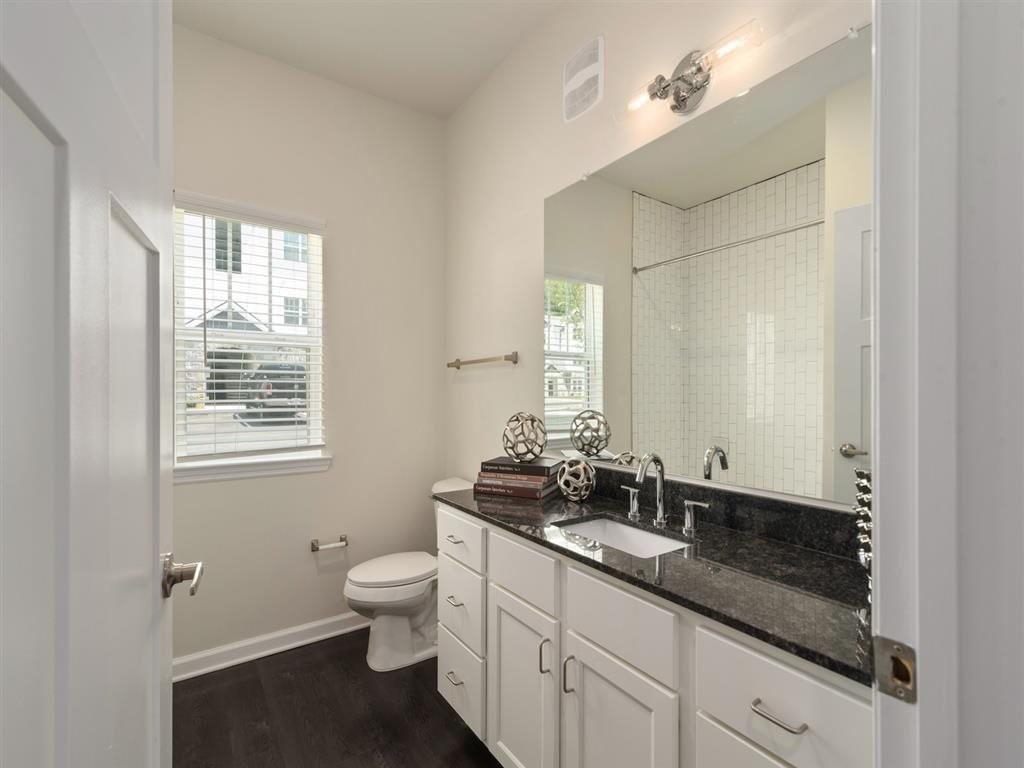 a bathroom with a sink and a toilet and a mirror
