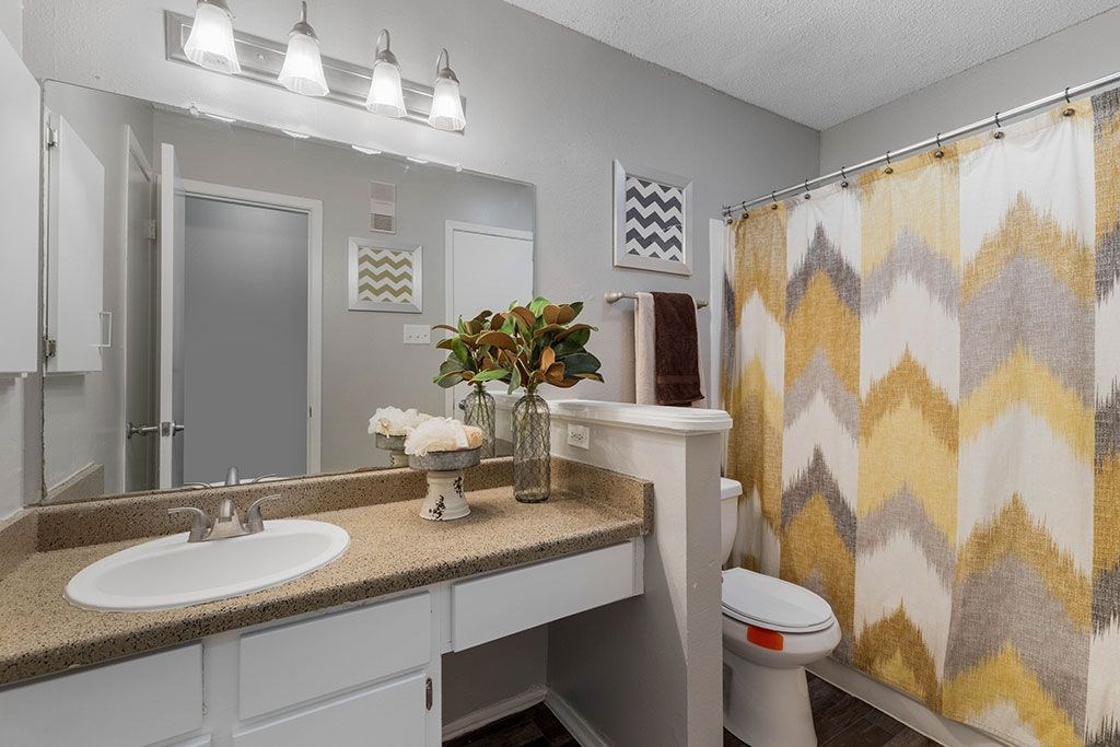 a bathroom with a sink and a toilet and a shower