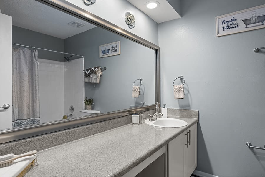 a bathroom with a sink and a mirror