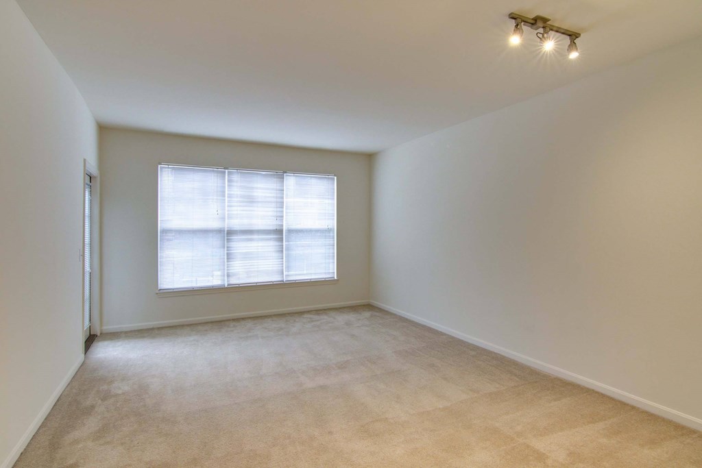 A room with a window and a carpeted floor.